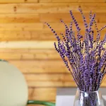 Holiday home Holzhaus Am Waldrand *