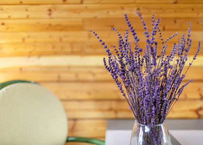 Casa de Férias Holzhaus Am Waldrand *